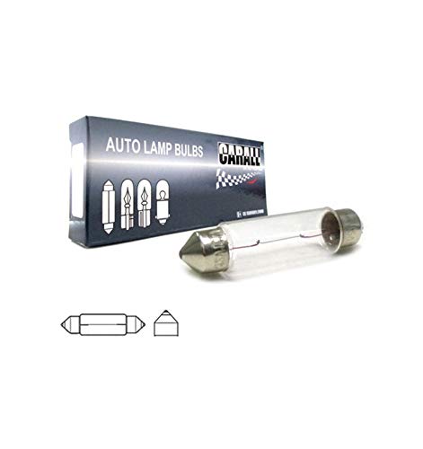 10 Pezzi Lampade Alogena 24V, Ricambio Lampada Per Camion (T11 C10W 41Mm 24V 10W)
