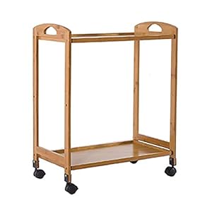 YASEking Trolley On Wheels Tool 2 Tier Medical Tool Utility Cart, Hotel Catering Cart met universeel remwiel, Beauty SPA…