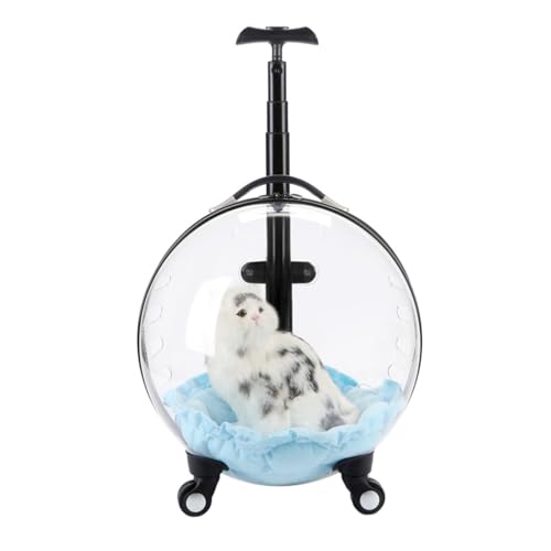 Transporteur de voyage pour chat avec roulement fluide haute performance