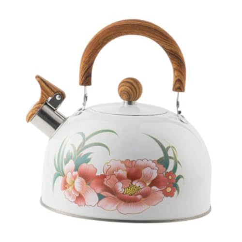 Fenteer Tetera con Silbato Hervidor de Agua para Cocina Y Calentador de Líquidos de Acero Inoxidable con Mango Ergonómico Adecuado para Hogar Y Oficina