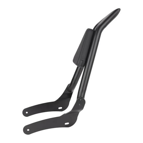 BRZOXIN Detachable Backrest Pad