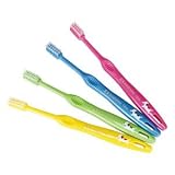 DENT.EX kodomo/12S(混合歯列後前期・5~9歳)(イヌ)/4本入り