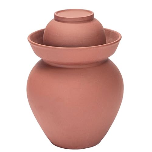 DECORN Recipiente de fermentación de cerámica con Tapa Tarros para pepinillos Tarro de Barro Tradicional Chino Olla de Cocina para Kimchi,8L