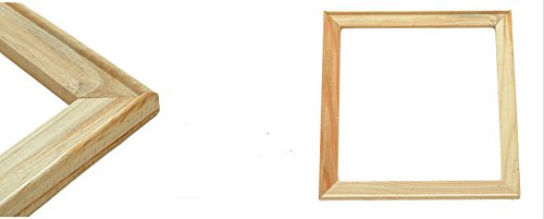 Medigy Dipingere con i Numeri,DIY Pittura ad