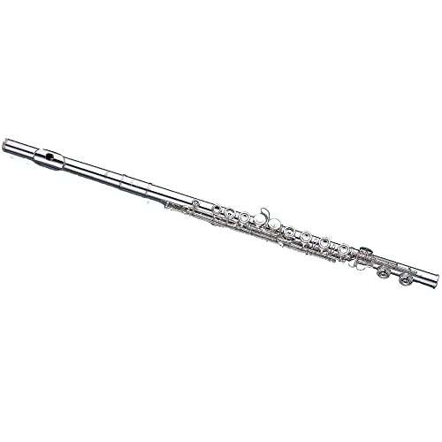 アルタスフルート ALTUS A907E フルート アルタス 楽器 管楽器 Altus A907 調整済み <アルタス>｜平野楽器 ロッキン オンライン