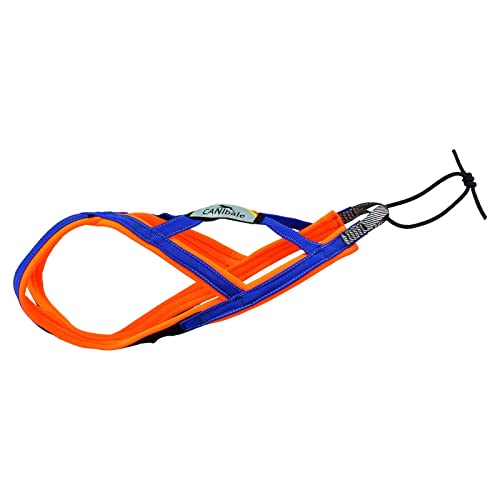 CANIbale dogsport NOpain Harness |CB6681| Zuggeschirr handgenäht in Deutschland, Größe:3