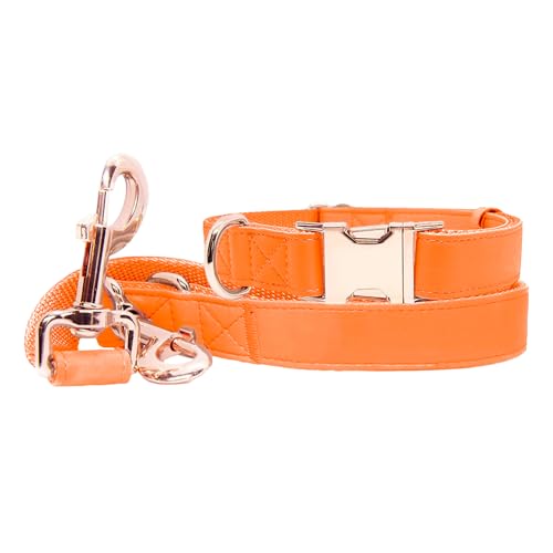 Soft Leather Dog Collar and Leash (6.6') Set - Stylish Rose Gold Heavy Duty Metal Buckle, 4 Adjustable Lengths Leash for Small Medium Large Dogs - Comfortable & Easy to Clean Orange M(13.8