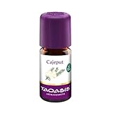 Taoasis