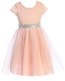 Big Girl Short Sleeve Lace Tulle Rhinestones Princess Gown Flower Girl Dress USA Blush 10 JKS 2200