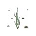 RoomMates Cactus Peel And Stick Giant Wall Decals