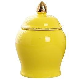 BESTonZON Ceramic Tea Canister with Lid 3.54 inch Tea Storage Jar for Leaves Sugar Beans Coins and Small Items Smooth Surface Kitchen Food Storage Container