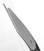 KAKURI Bonsai Grafting Knife 24mm, Razor Sharp Japanese Carbon Steel, Professional Grafting Tool for Garden Tree, Fruit Trees, Budding Plants, Single Bevel, Made in JAPAN