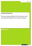 Die stereotypen Bilder des Schwarzen und des Weißen im Werk von Calixthe Beyala