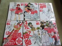 はたらく細胞 6冊＋細菌6冊＋フレンド4冊＋black5冊＋関連3冊の24冊 はたらく細胞 全6巻＋細菌5冊＋black5冊＋関連本12冊の28冊セット