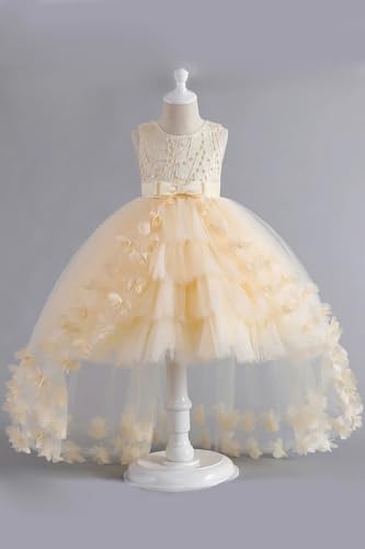 POMUYOO Lace Tulle Flower Girl Dresses Tiered First Communion Dress for Kids Princess Birthday Party Gowns4