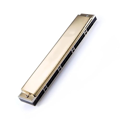 v̉tn[jJ ru[gS[fn[jJ 24 S҂̂߂̔y (Color : Db)