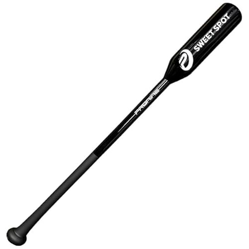 Sweet Spot Training Bat