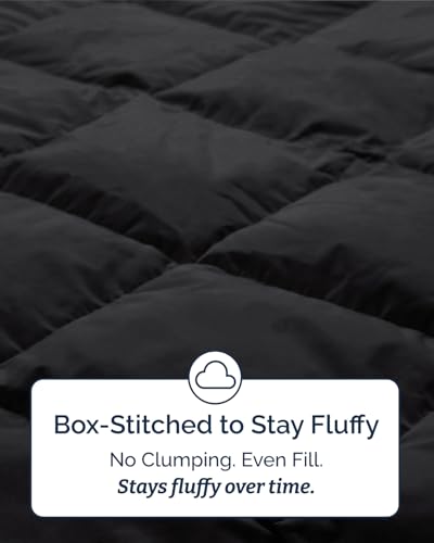 Image of Twin Size, Black Alternative Down Comforter - Warm, Lightweight & Breathable Hotel Quality Bedding Set for Men, Women, Kids and Teens - All Season Oversized Cooling Microfiber Duvet Insert Comforter