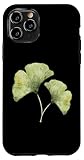 Ginkgo biloba designs
