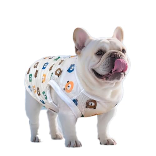 PP&DD p ăN[xXg UVJbg t`uhbOER[M[EgCv[h Ή bVf ʋC p ybgp΍EFA (F, M)