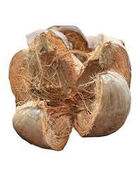 See full amazon price history chart for Coconut Husk 2 Pieces Coconut Husk 2 Pieces (B0D8WNBH7D) Amazon Price History, Amazon Price Tracker