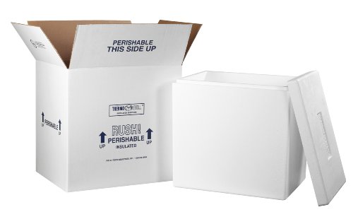 Aviditi Insulated Carton with Foam Shipping Kit, 18" x 14" x 19", White, For Shipping Temperature Sensitive Items (1 Kit)