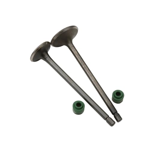 Motorcycle 2PC Intake And Fit For CG110 CG125 CB125J CB125S XL125 14711-383-000 14721383000 Four-stroke Engine