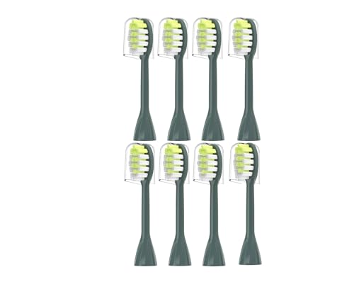 puVwbh4pbNA\jPAwbh HY1100 HY1200 BH1022 1{ƌ݊(8pcs Sage)