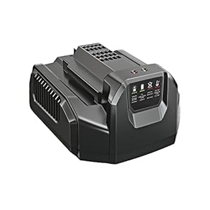 EGO Power+ CH2100 Standard-Ladegerät