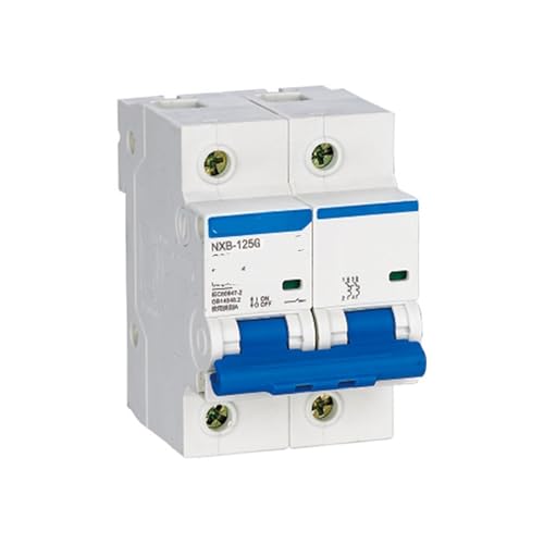 Disjoncteur miniature électrique NXB-125G bipolaire 2P C125 de tableau