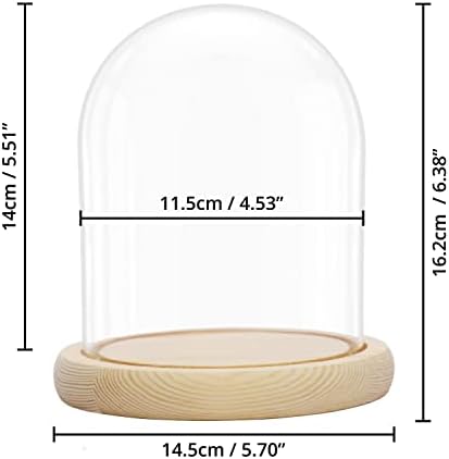 BELLE VOUS Glass Dome Cloche Bell Jar with Natural Wooden Base - 16.2cm / 6.38 Inches Tall - Clear Decorative Tabletop Display Case with Tray for Fairy Lights, Centrepieces and Antiques