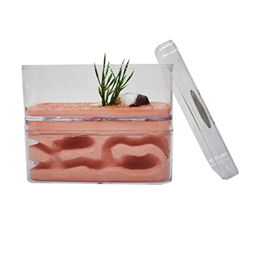YKLL Plâtre hydratant pour fourmis et fourmis - Atelier à fourmis - Château avec zone d'alimentation - 12 x 6 x 10 cm