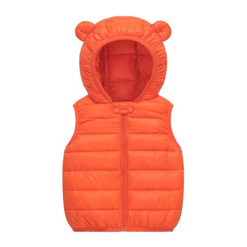 q_ExXg WPbg h΍ h _ER[g `bL q LbY H~ ~  ʉ ʊw AEghAEFA LbYEFA i g ۉ n 