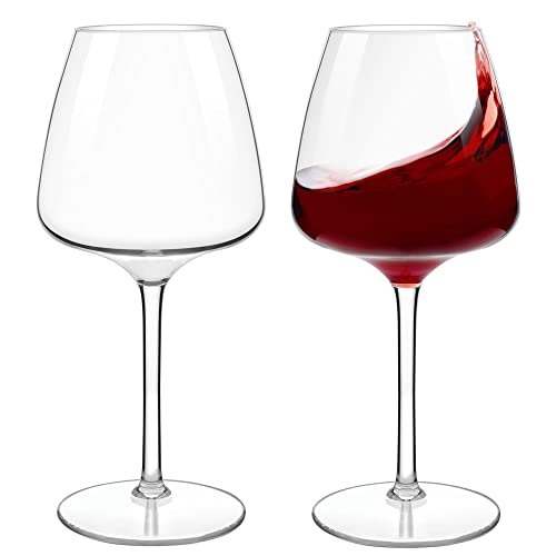 MICHLEY Copas de Vino Tinto Irrompibles 610 ML /21.4 OZ Copa de Vino Blanco Grande de Plástico Tritan para Fiesta de Campamento, Apta para Lavavajillas, Juego de 2 Cover