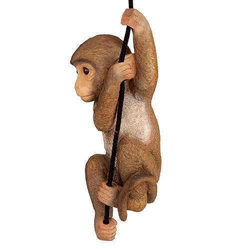 CRAFTIFY Premium Colour Hanging Monkey with Jute Rope for Garden,Home and Balcony Decor Resin Monkey Climbing Hanging Animal Statue with Rope showpiece, Suitable for Gifting(Brown, 16.5 Inch) (B0D7SKVSXC) Amazon Price History, Amazon Price Tracker