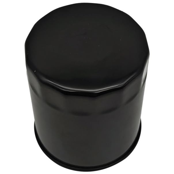 Filtr oleju do SGW 1000cc Villain Fugleman UT10 SX10
