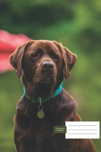 Composition Notebook Wide Ruled: Cute Puppy Lablador Retriever Lined Paper Journal for School | Dog Lover Pattern | Smooth Matte Cover| Perfect Blank ... Students Kids Boys Girls Teens and Adults image 2