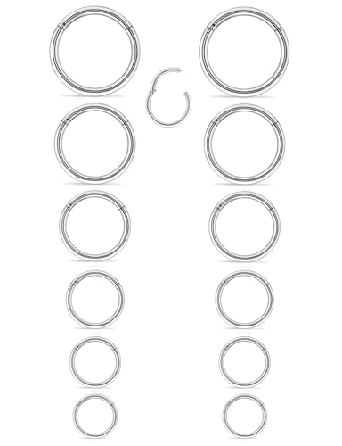 Ocptiy 6G 8G 12G 14G 16G Hinged Septum Rings Gauges Tunnels Plugs Earrings Stretching kit Surgical Steel Hinged Eyebrow Lip Belly Ring Cliker Helix Tragus Daith Rook Earrings Stretcher