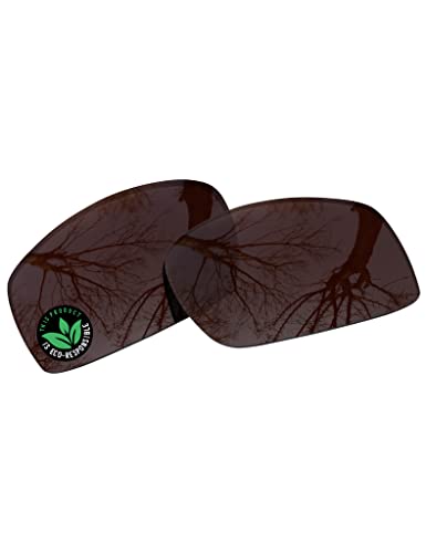 Image of Raydi Polycarbonate Replacement Lenses for Wiley X Valor Sunglass
