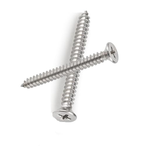HAOTAISH 304ステンレス製のフランク付き十字ネジ、木工機械のメンテナンス用、100個入り,M2.3*12mm