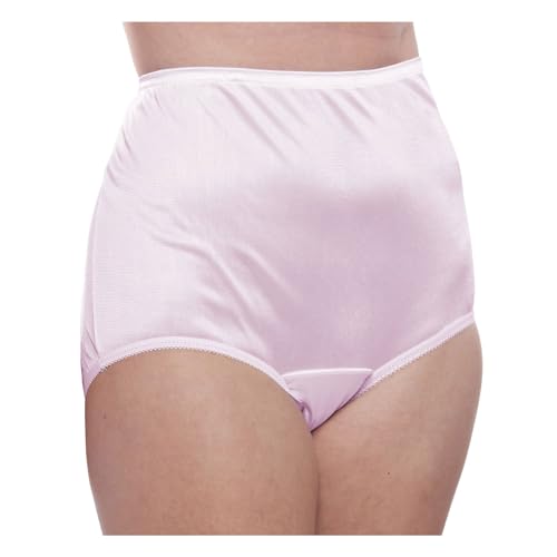 Image of Teri Women's 331 Plain Jane Classic Nylon Silky-Smooth Lightweight Breathable Full Coverage Brief Panty - 4 Pack