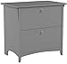 Bush Furniture Salinas 2 Drawer Lateral File Cabinet in Cape Cod Gray, Home Office Storage Solution, Organizer with Drawers for Workspace, Filing Unit