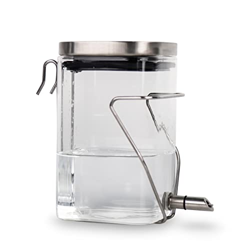 Guinea Pig Water Bottle No Drip, Rabbit Glass Waterer, Chinchilla ...