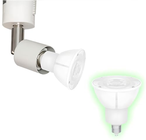 LEDdt _Ng[pX|bgCg _Ng[Cgp E11 CeBO[ Ɩ _Ng[pƖ 60W  6.5W 600lm 36x  F E11R5611YD