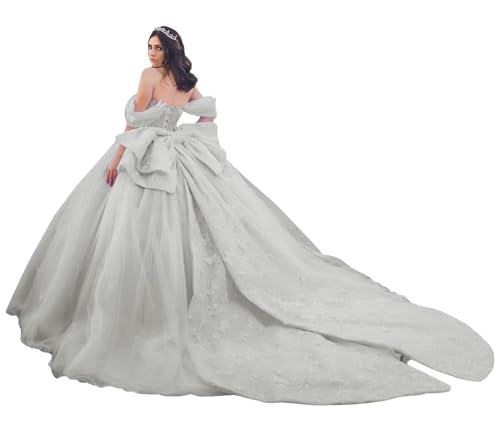 KPDFIF Butterfly Appliques Quinceanera Dresses Silver Tulle Ball Dress