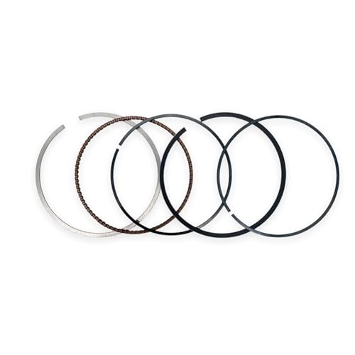 Kit cylindre moto 75mm de haute précision pour PR300 ZS175FMN