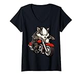 Motorbike Animals