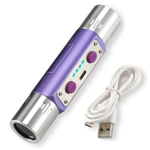 Lampe UV 365nm et 254nm double longueur d'onde pour minéraux