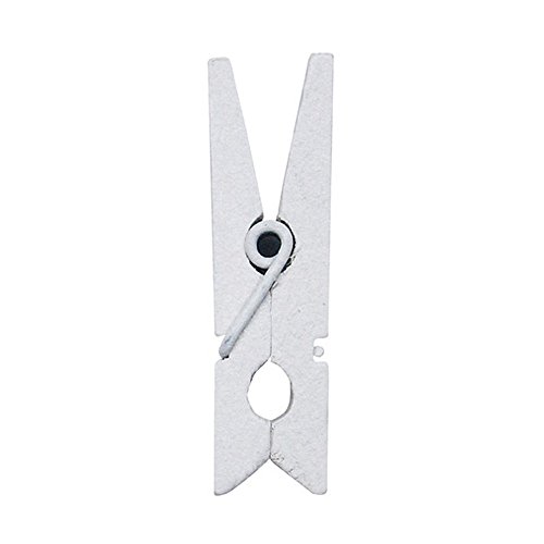 1 Sachet de 24 Mini Pinces à Linge Blanches de 2,5 cm