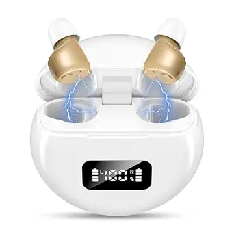 Mini Rechargeable Senior Digital Sound Amplifier with Noise Reduction and Portable Charging Case (Pair)